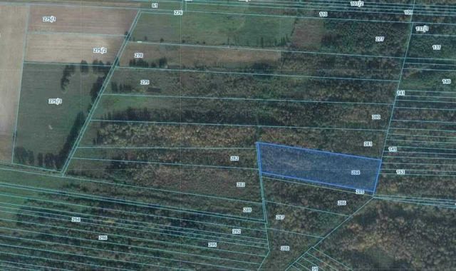 Działka rolna Bońkowo Kościelne. Zdjęcie 1