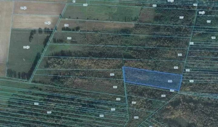 Działka rolna Bońkowo Kościelne