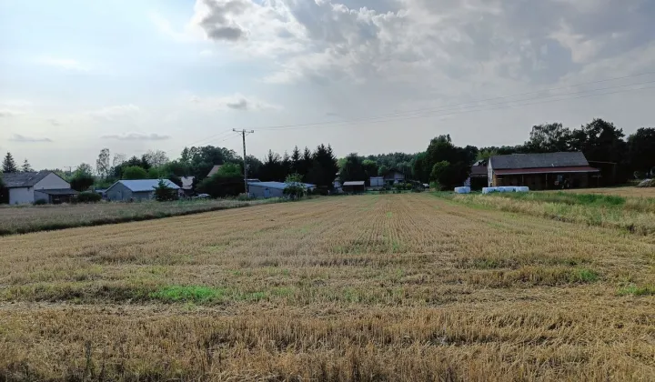 Działka rolno-budowlana Żelków, ul. Różana