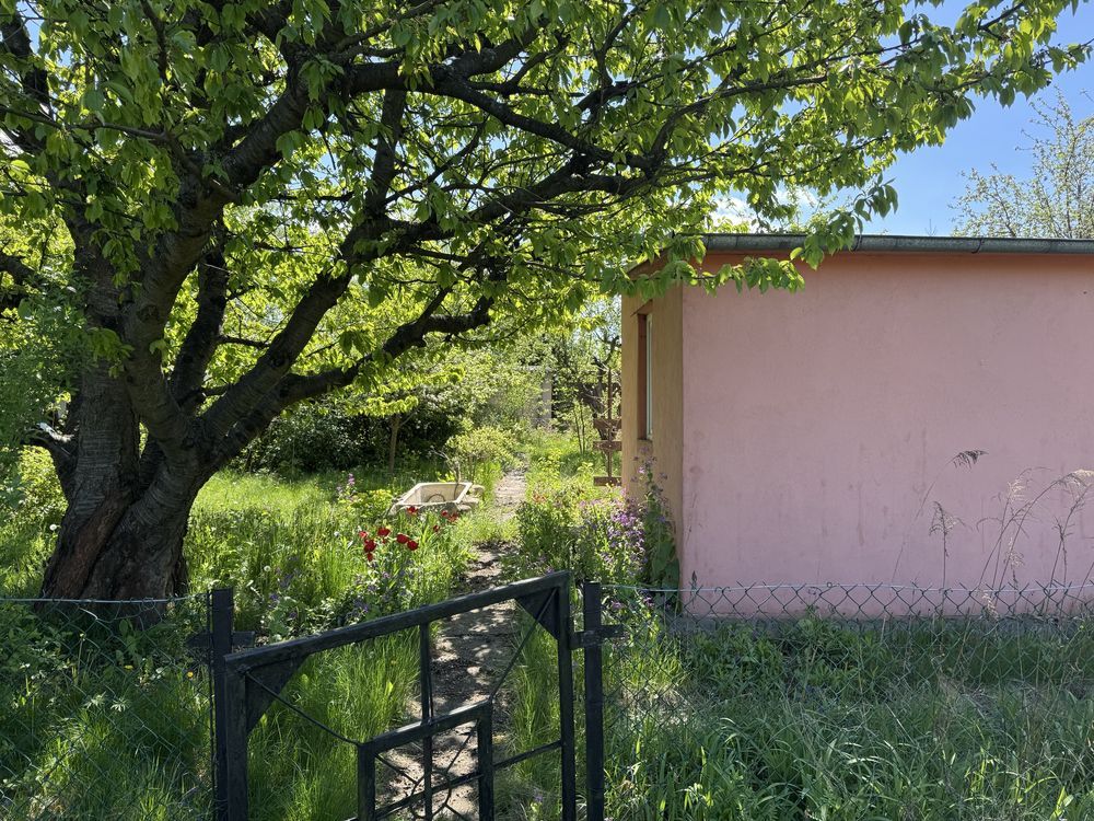 Działka rod Konin, ul. Świętojańska. Zdjęcie 7