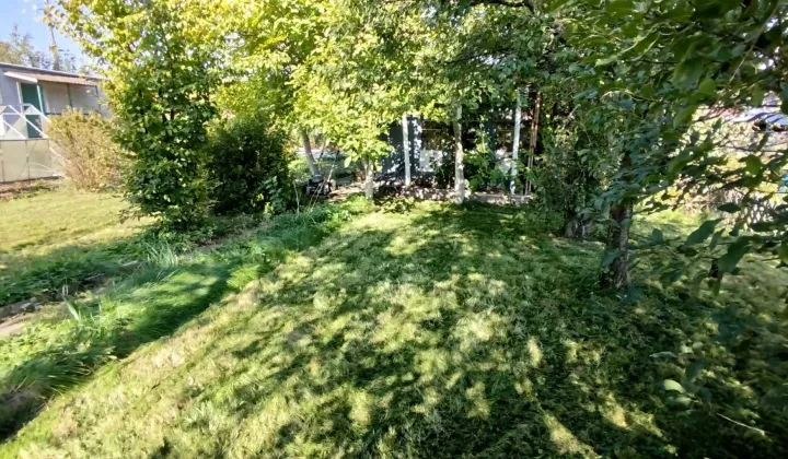 Działka rod Białystok Dojlidy, ul. Adama Mickiewicza