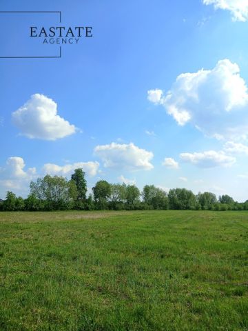 Działka budowlana Wincentów. Zdjęcie 1