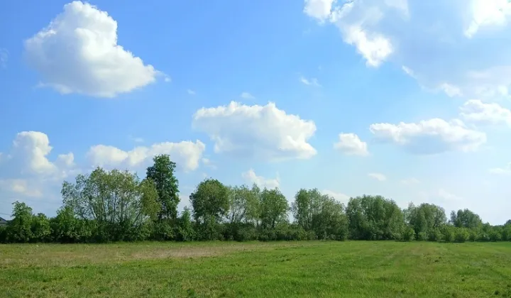 Działka budowlana Wincentów