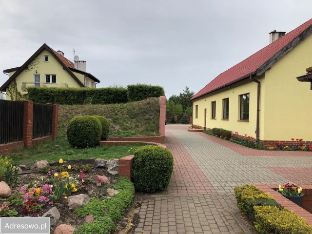 siedlisko Najdymowo. Zdjęcie 13