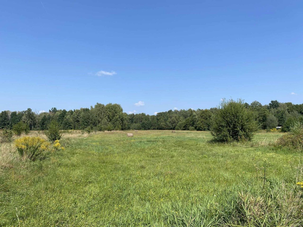 Działka rolno-budowlana Grubale. Zdjęcie 2