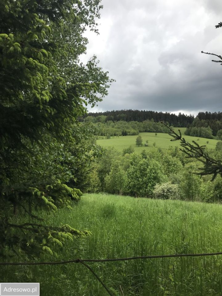 Działka budowlana Walim, ul. Anny Jagiellonki. Zdjęcie 2