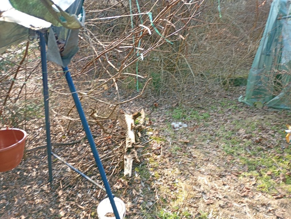 Działka budowlana Kanie. Zdjęcie 3