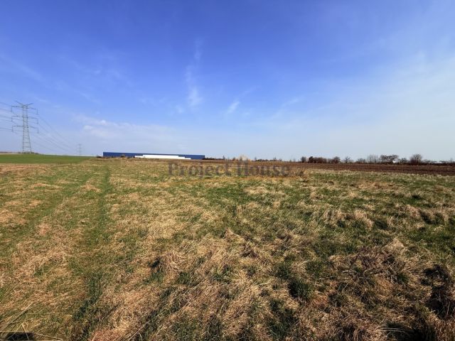 Działka inwestycyjna Kruszów. Zdjęcie 3