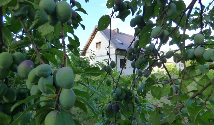 dom wolnostojący, 3 pokoje Górki Grubaki