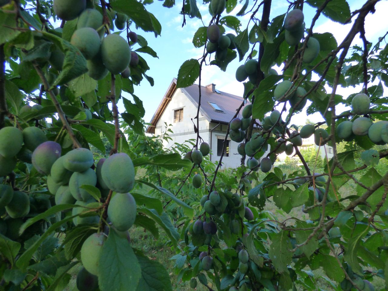 dom wolnostojący, 3 pokoje Górki Grubaki. Zdjęcie 7