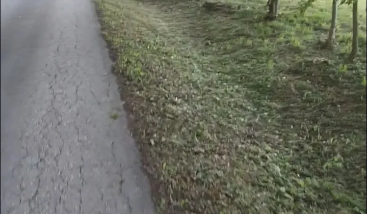 Działka rolno-budowlana Dąbrówki Breńskie