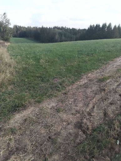 Działka budowlana Mszano. Zdjęcie 4