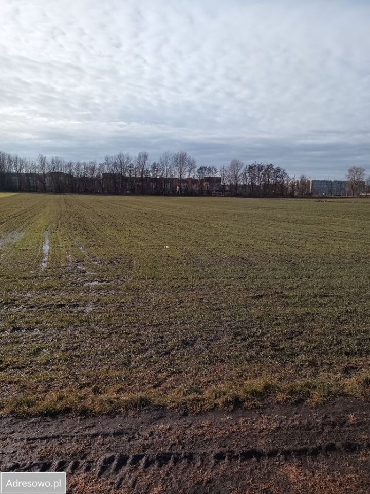 Działka inwestycyjna Głogów, ul. Henryka Głogowskiego. Zdjęcie 6