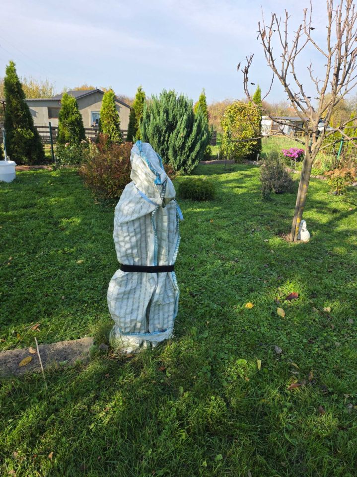 Działka rod Rydlewo. Zdjęcie 7