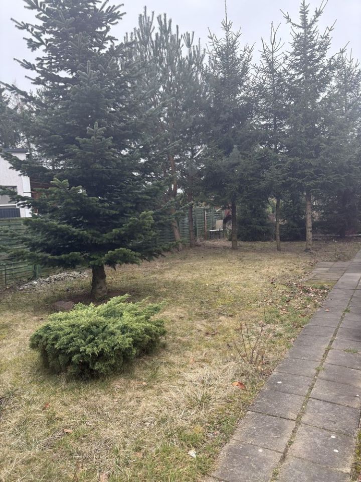 Działka rod Poznań Ławica, ul. Bukowska. Zdjęcie 2