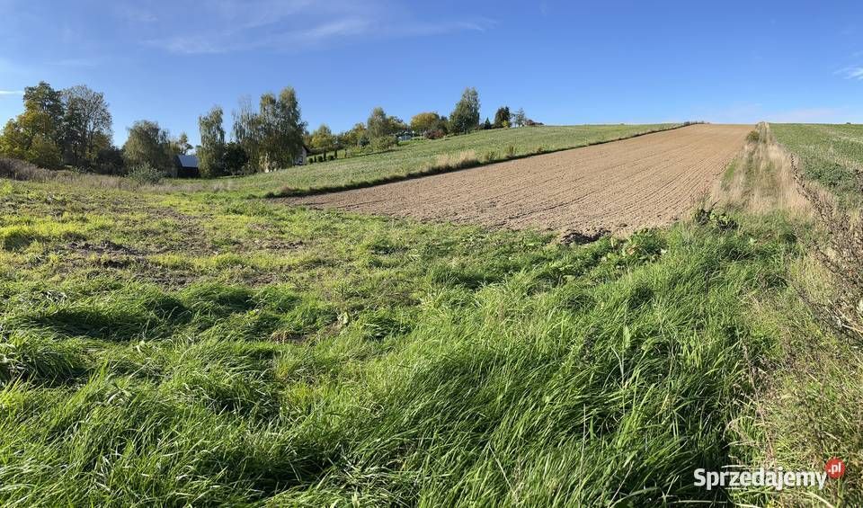 Działka siedliskowa Trojanowice, ul. Miechowska. Zdjęcie 9