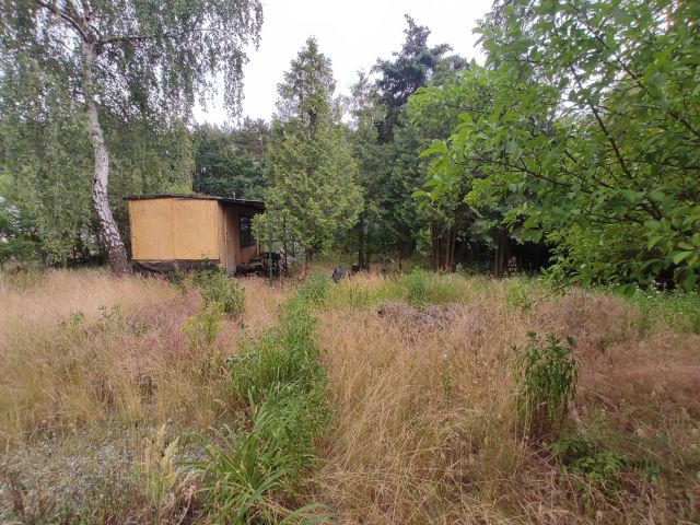 Działka rekreacyjna Poznań Grunwald. Zdjęcie 1