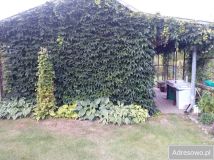 Działka rod Krasnystaw, ul. Grobla. Zdjęcie 1