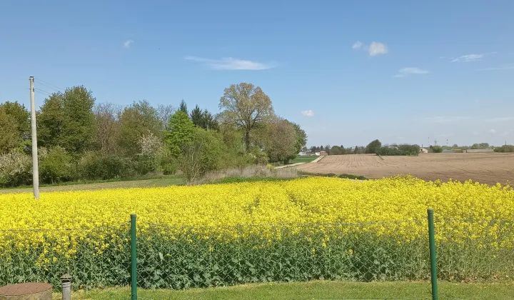 Działka rolno-budowlana Huta Józefów