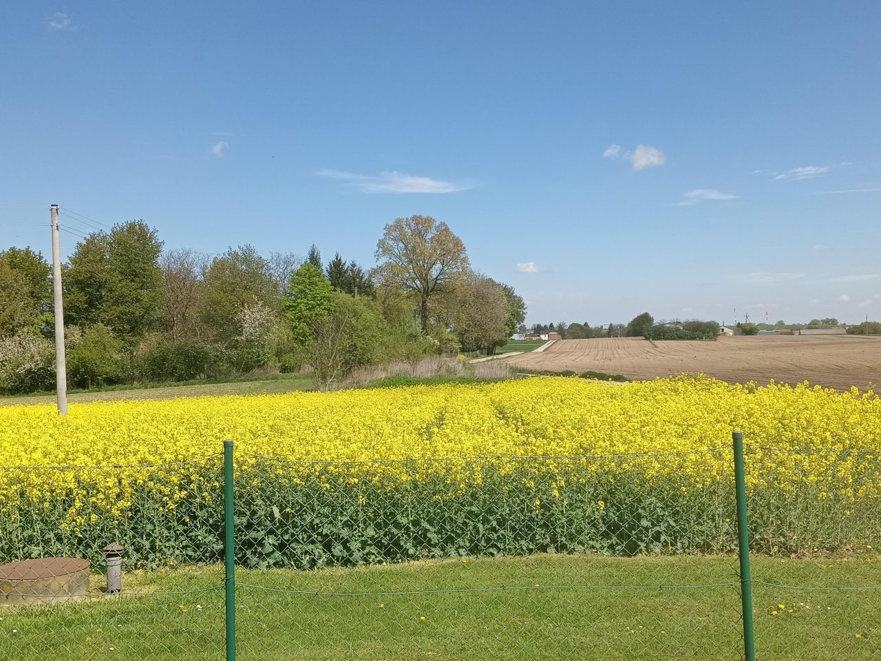 Działka budowlana Huta Józefów. Zdjęcie 8