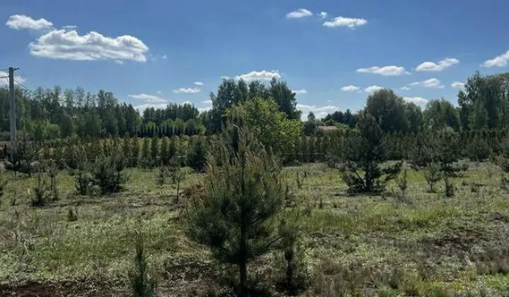 Działka budowlana Krzyżówka