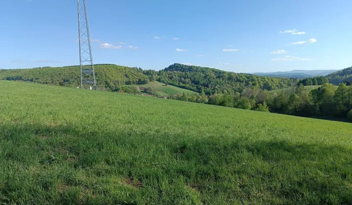 Działka rekreacyjna Wujskie