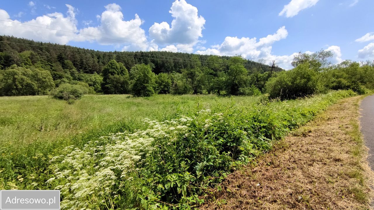 Działka rolna Trzcianiec. Zdjęcie 6