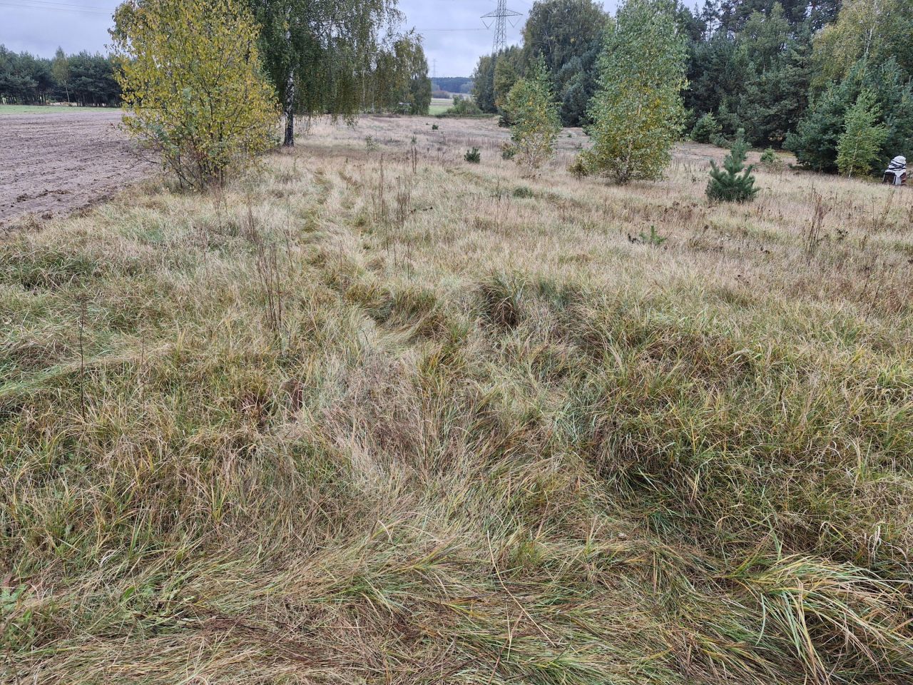 Działka rolno-budowlana Rudnik Mały. Zdjęcie 8