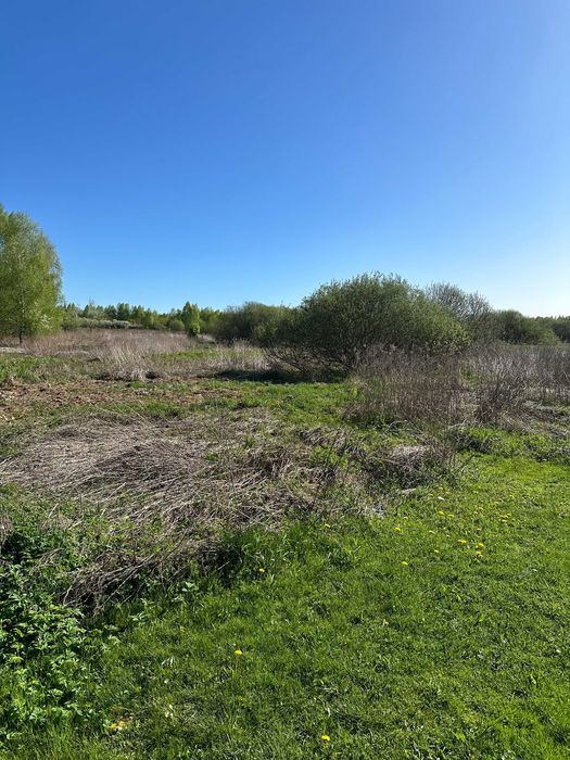 Działka rolno-budowlana Borków. Zdjęcie 4