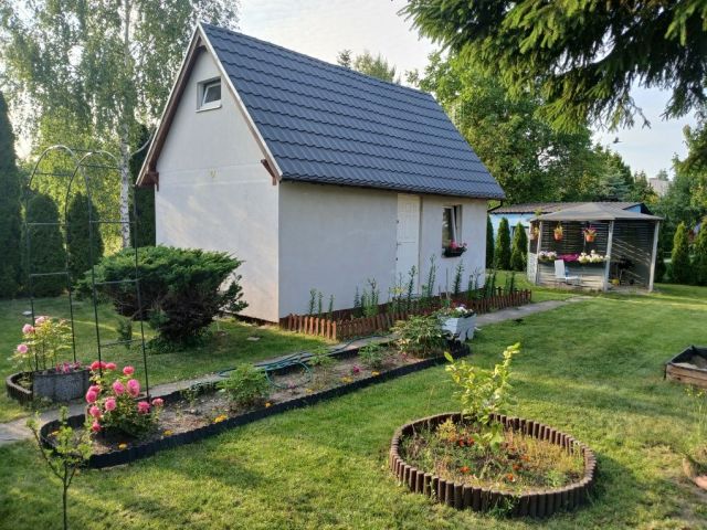 Działka rod Poznań Ławica, ul. 5 Stycznia. Zdjęcie 1