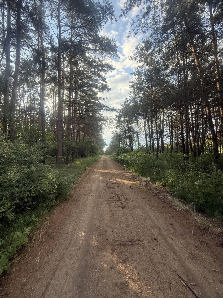 Działka budowlana Nekielka, ul. Strusia. Zdjęcie 3