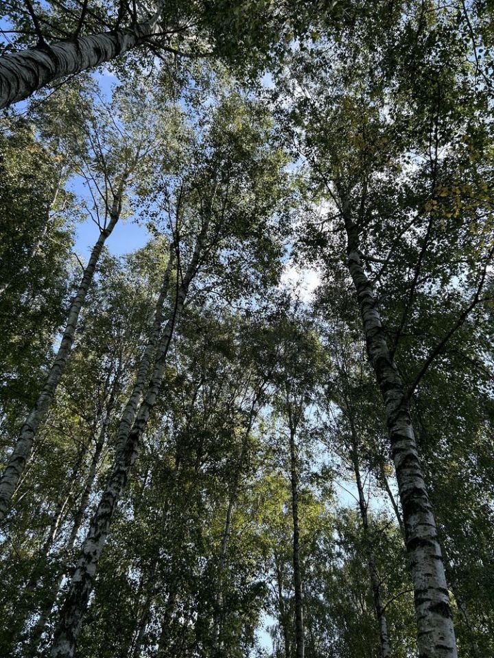 Działka budowlana Kalonka. Zdjęcie 7