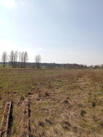 Działka rolna Królewo. Zdjęcie 1