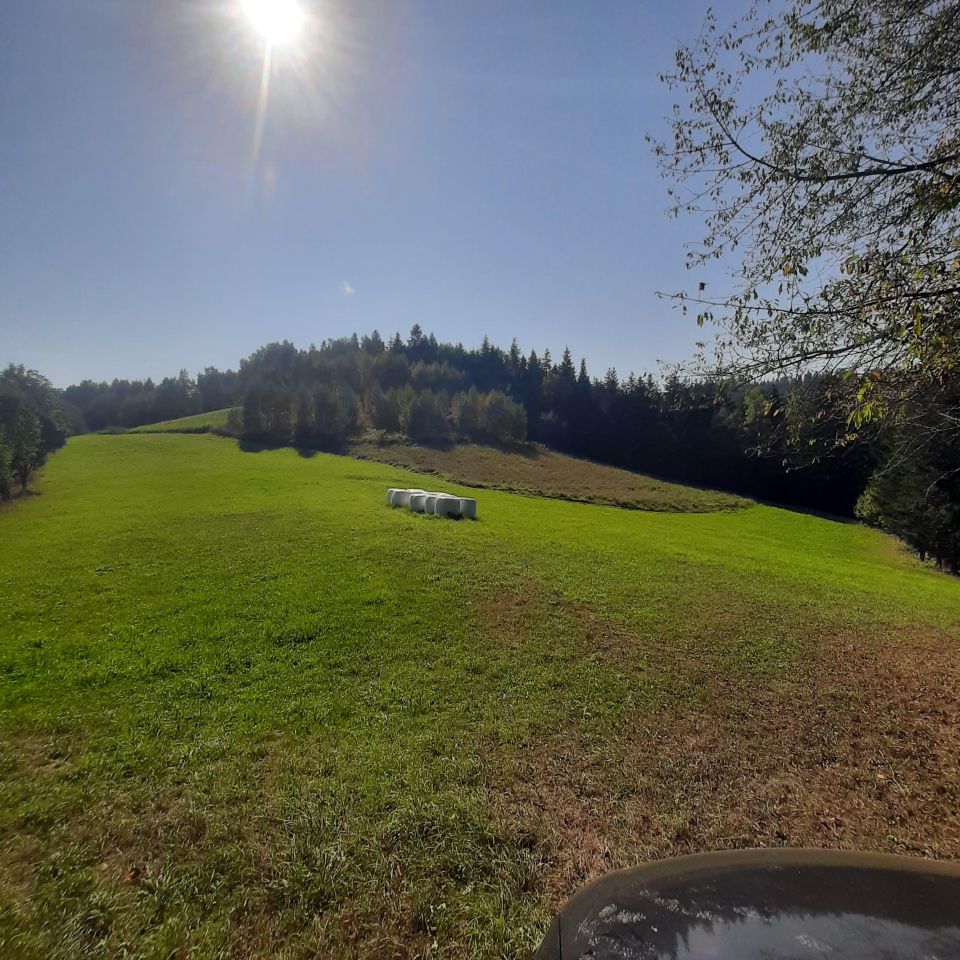 Działka rolna Rabka-Zdrój Zaryte, ul. Zaryte. Zdjęcie 3