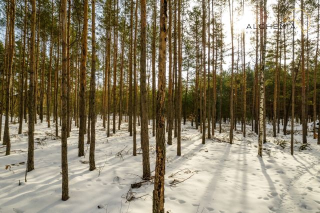 Działka budowlana Warszawa Wesoła, ul. Adama Mickiewicza. Zdjęcie 2