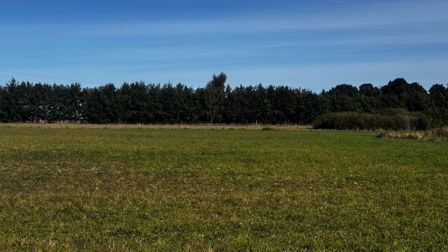 Działka budowlana Przyjaźń, ul. Pogodna. Zdjęcie 4