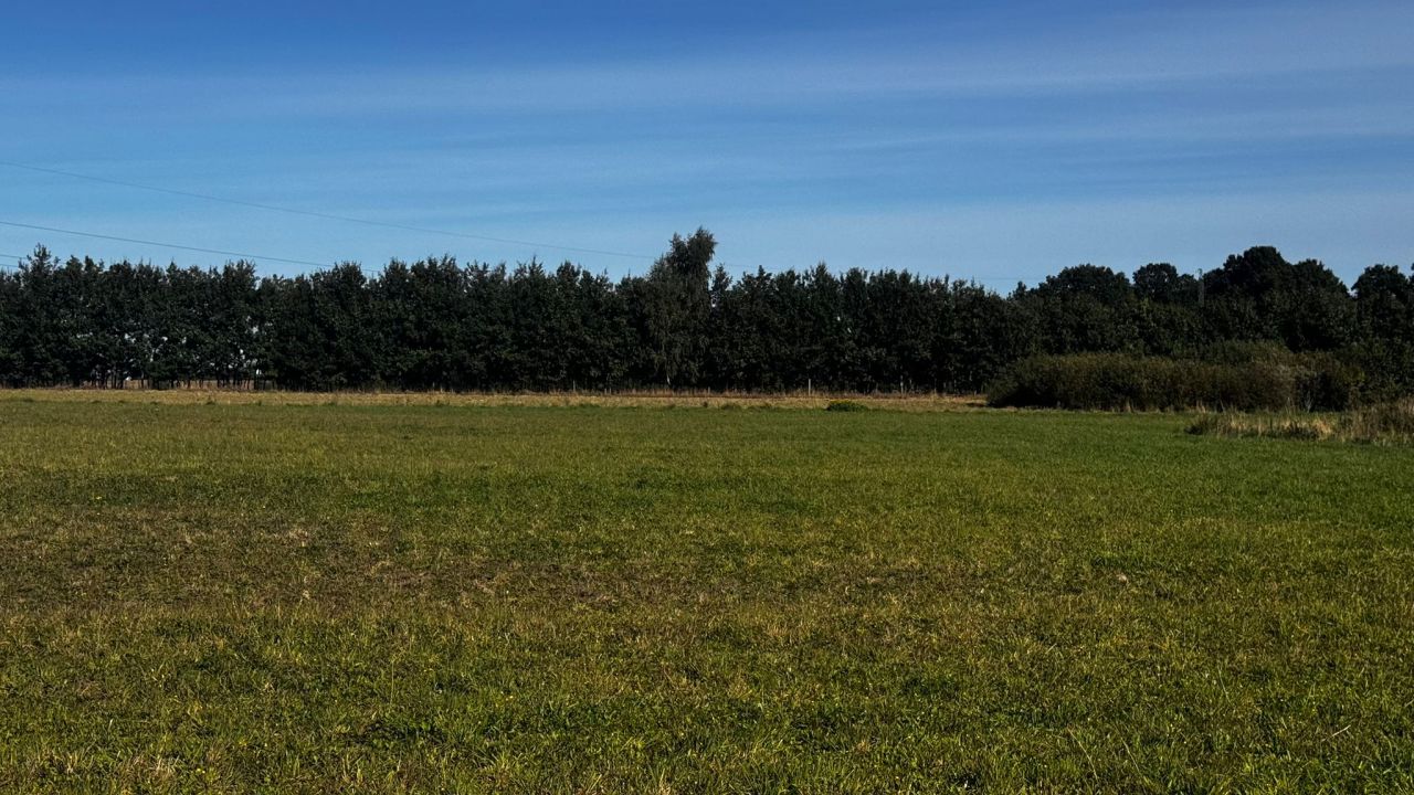 Działka budowlana Przyjaźń, ul. Pogodna. Zdjęcie 4
