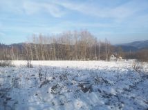 Działka rolno-budowlana Grzmiąca. Zdjęcie 3