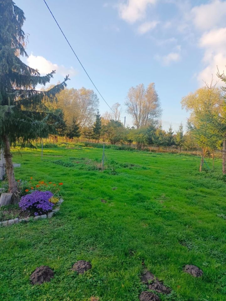 Działka budowlana Janowo. Zdjęcie 7