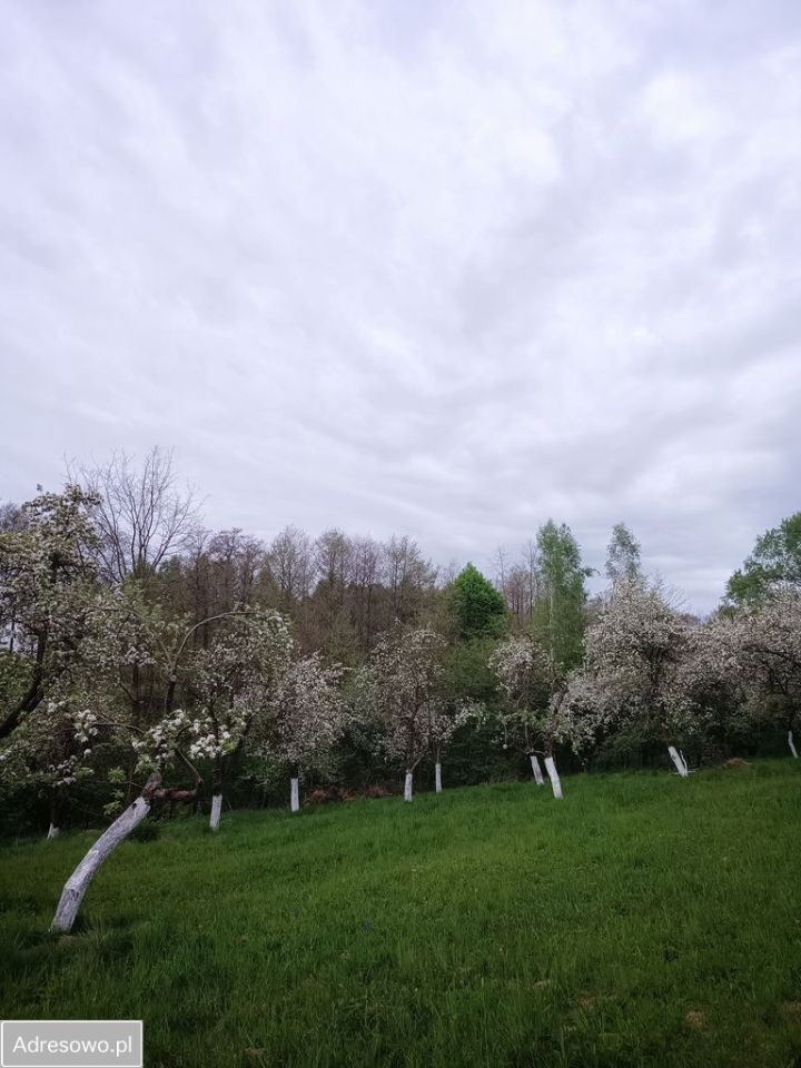 Działka rolno-budowlana Bierówka. Zdjęcie 9