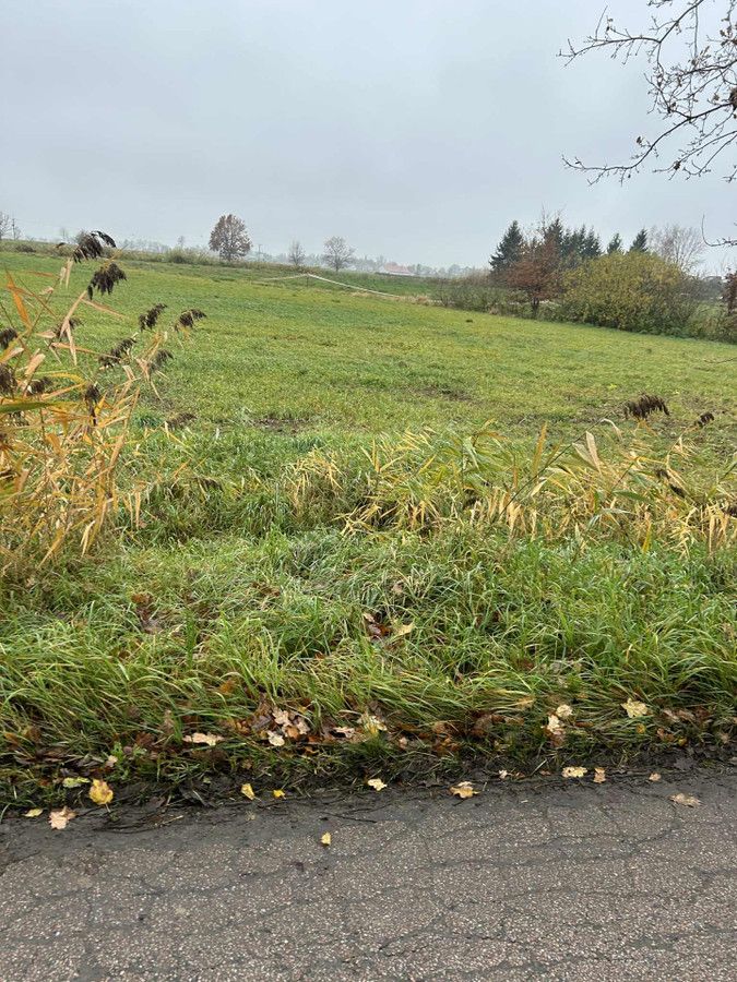 Działka rolno-budowlana Gronowo Elbląskie, ul. Elbląska. Zdjęcie 8