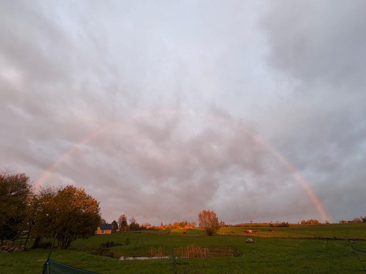 Działka siedliskowa Iwaniszki. Zdjęcie 12