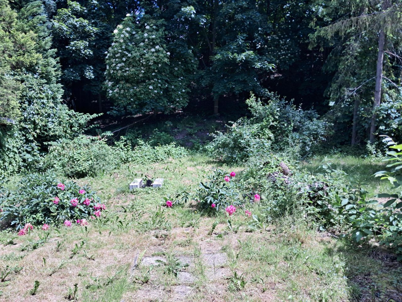 bliźniak, 7 pokoi Chorzów Centrum, ul. Sokoła. Zdjęcie 2