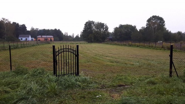 Działka rolno-budowlana Pawłowice. Zdjęcie 1