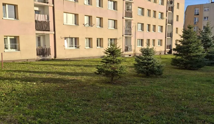 Mieszkanie 1-pokojowe Busko-Zdrój