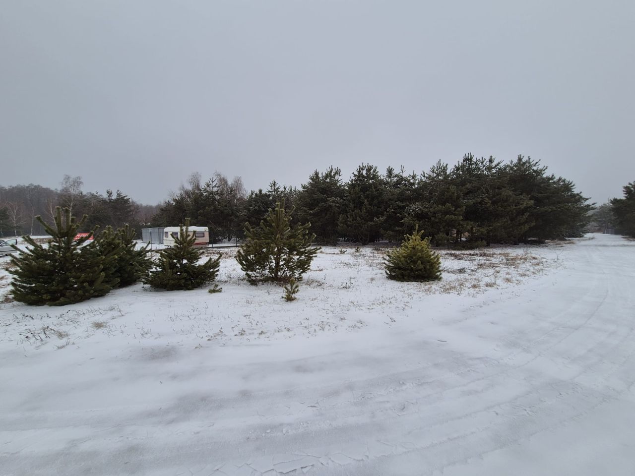 Działka budowlana Skrzynka, Skrzynka. Zdjęcie 2