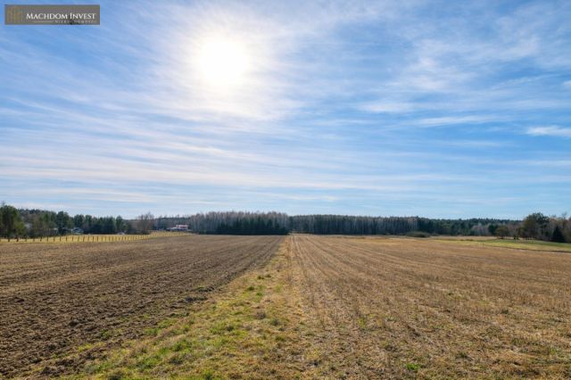 Działka inwestycyjna Krąplewice. Zdjęcie 5