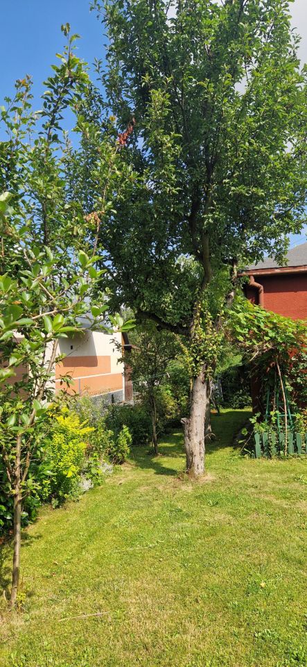 Działka rod Zawiercie Marciszów, ul. Rekreacyjna. Zdjęcie 9