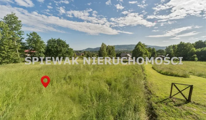Działka budowlana Buczkowice, ul. Modrzewiowa