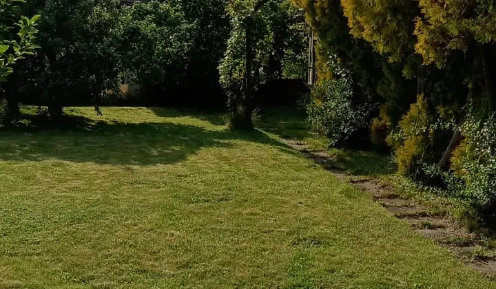 Działka rod Radom Glinice, ul. Odrodzenia